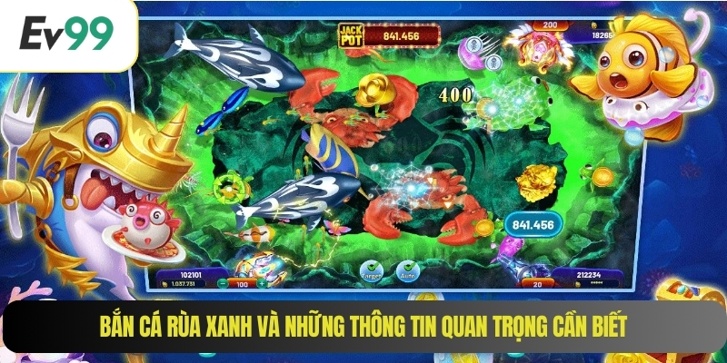 Bắn cá rùa xanh và những thông tin quan trọng cần biết