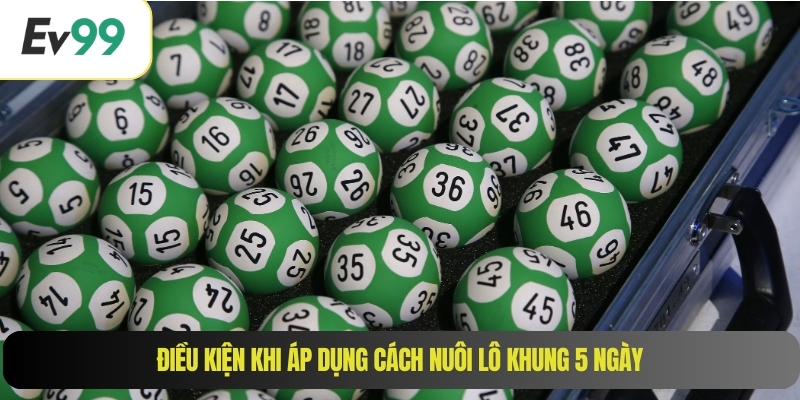 Điều kiện khi áp dụng cách nuôi lô khung 5 ngày