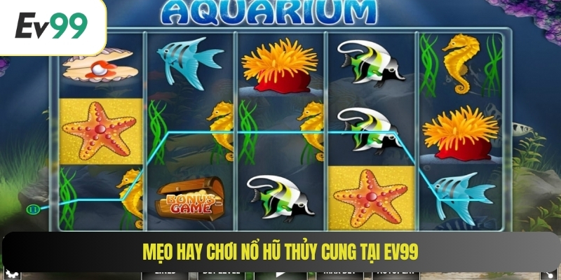 Mẹo hay chơi nổ hũ thủy cung tại EV99