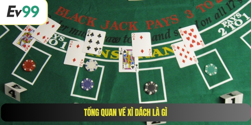 Tổng quan về xì dách là gì